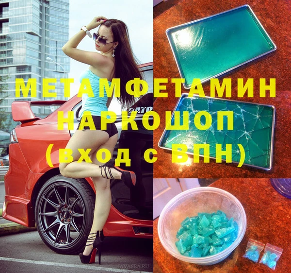 хмурый Аркадак
