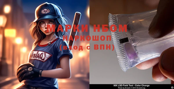 хмурый Аркадак