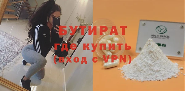 хмурый Аркадак