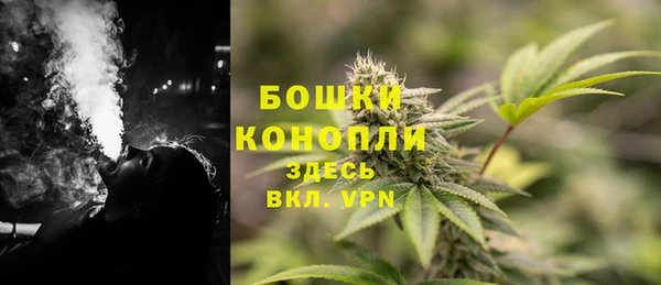 хмурый Аркадак