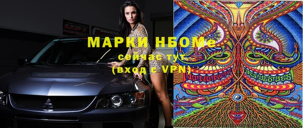 хмурый Аркадак