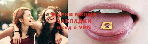 хмурый Аркадак