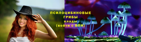 дживик Арсеньев