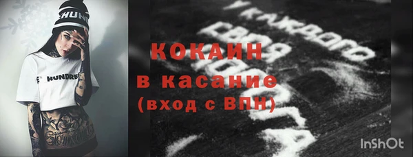 дживик Арсеньев
