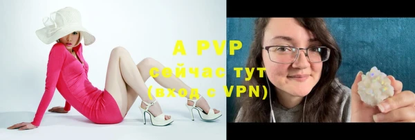 дживик Арсеньев