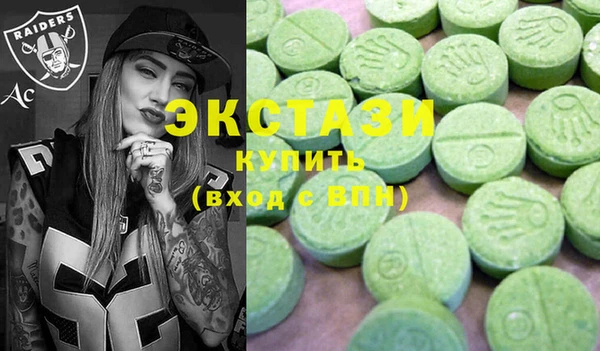 хмурый Аркадак