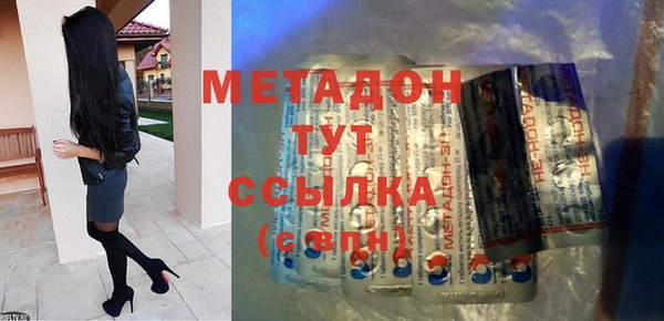 хмурый Аркадак