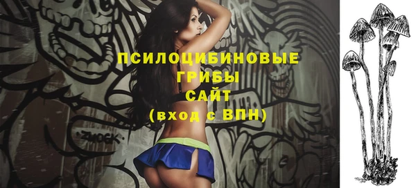 хмурый Аркадак