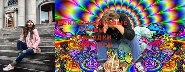 дживик Арсеньев