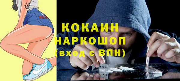 хмурый Аркадак