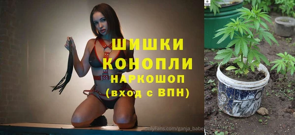 дживик Арсеньев