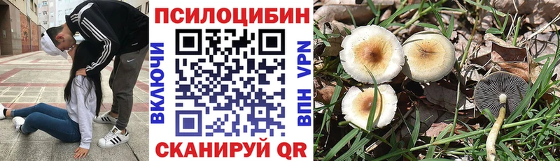 как найти наркотики  мега вход  Псилоцибиновые грибы Magic Shrooms  Зеленоградск 