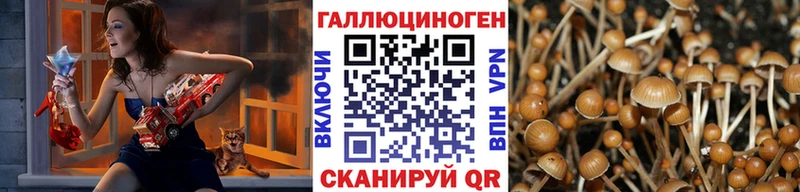 Галлюциногенные грибы мицелий Зеленоградск